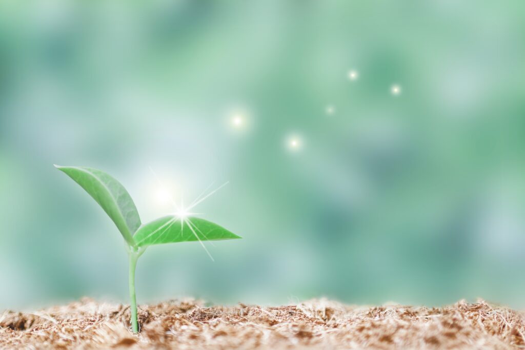 PayPay決済に対応した自動販売機の将来性